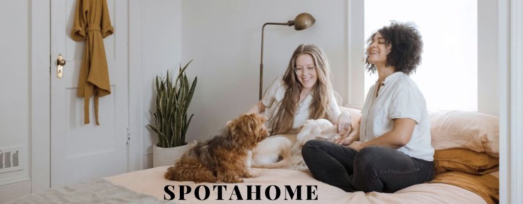 Spotahome